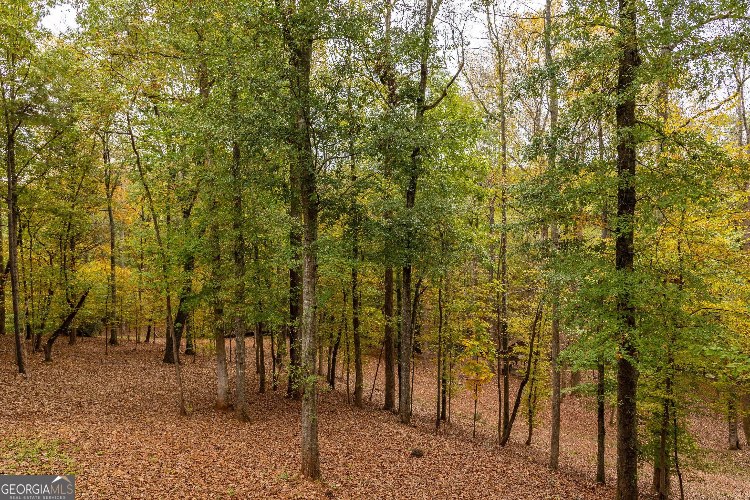 675 Goshen Road Property Photo 49