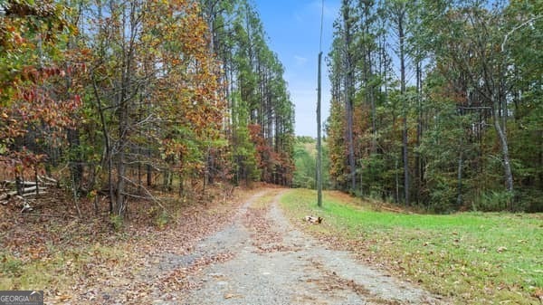 287 Branch Road Property Photo 27