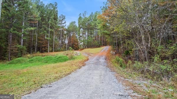 287 Branch Road Property Photo 28