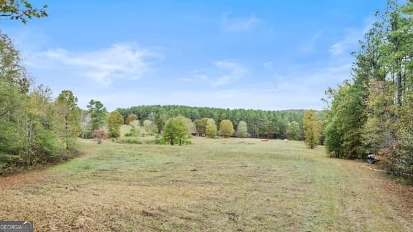 287 Branch Road Property Photo 44