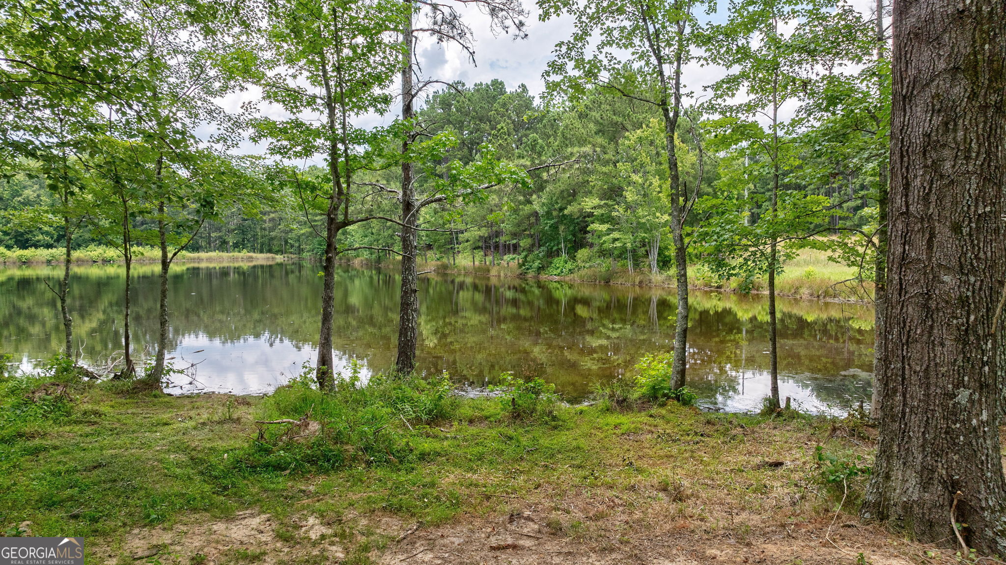 1490 East Peachtree Avenue Property Photo 12