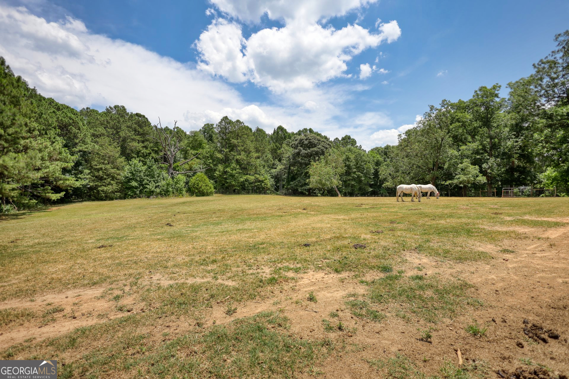 1024 Bethany Road Property Photo 6