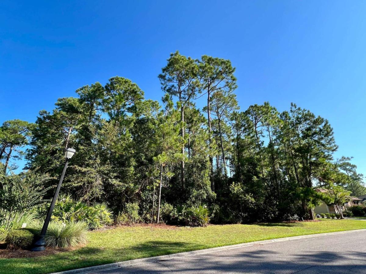 307 Osprey Circle Property Photo