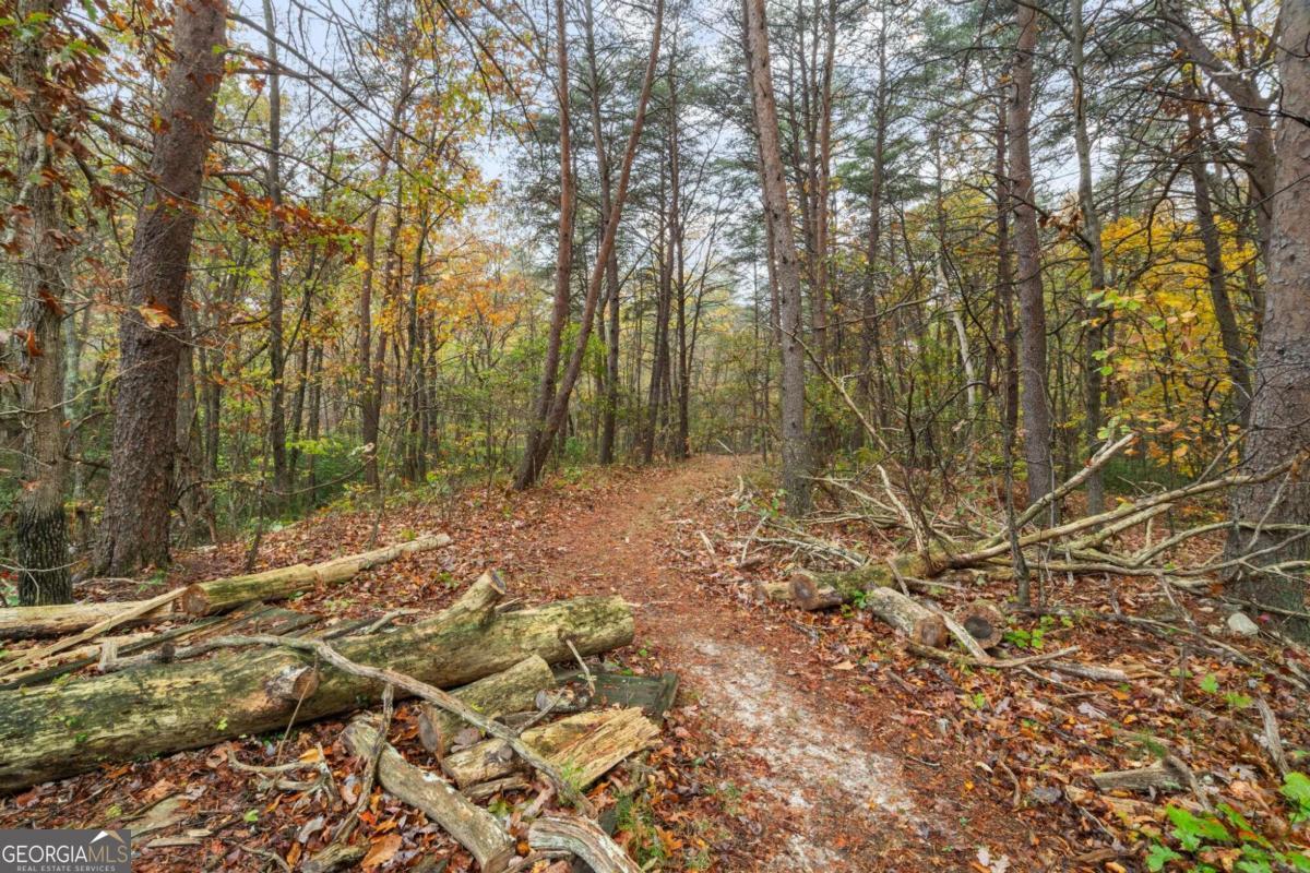6053 Henderson Mountain Road Property Photo 8