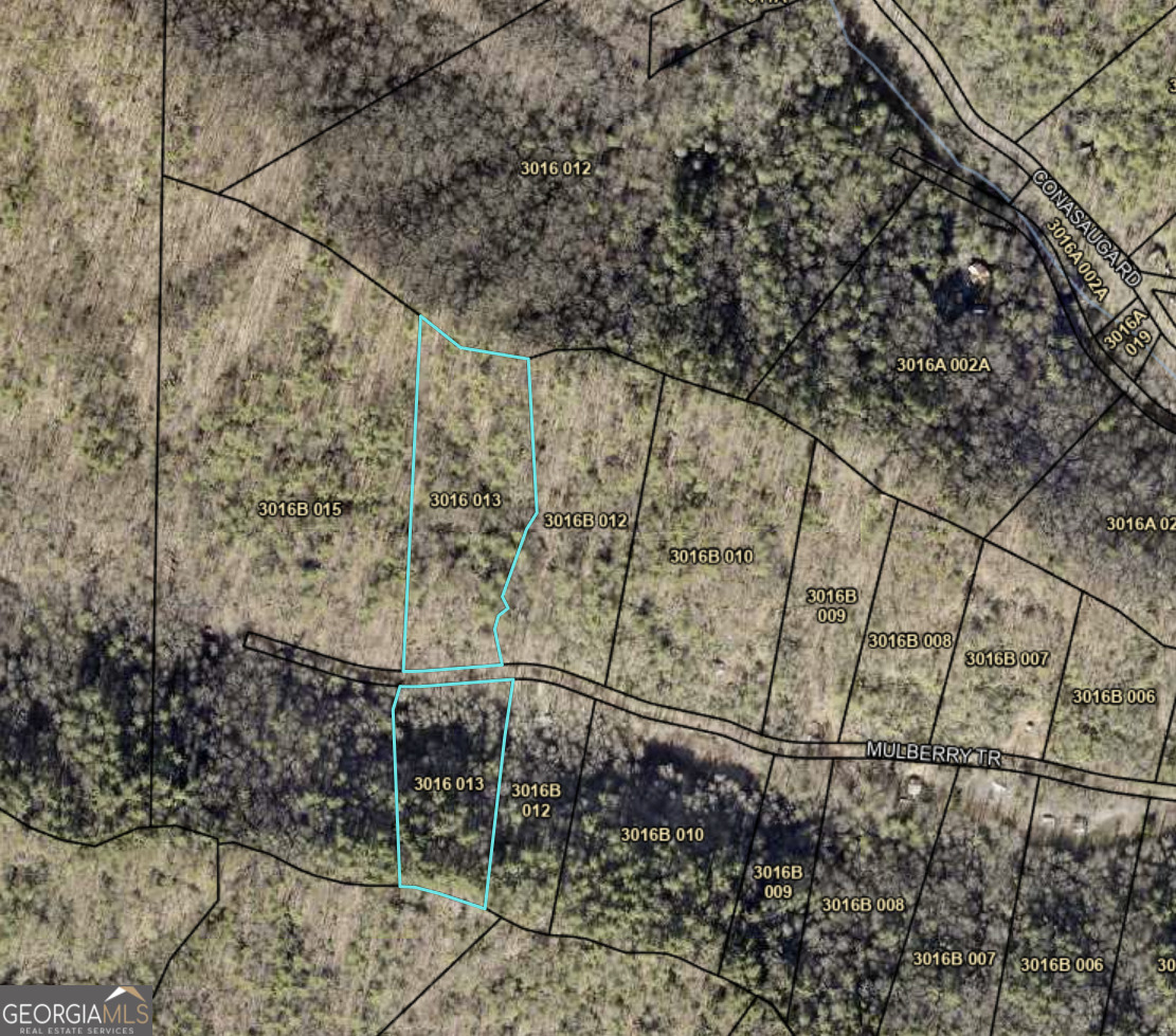 650 Mulberry Trail Property Photo 3