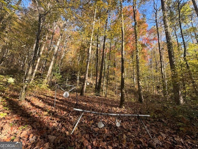650 Mulberry Trail Property Photo 6