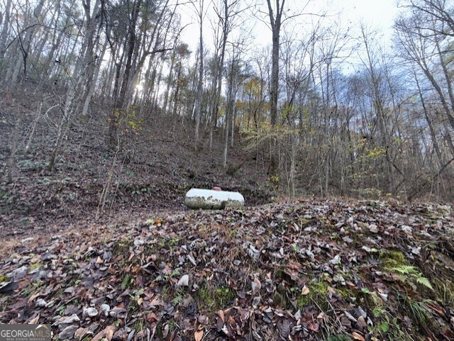650 Mulberry Trail Property Photo 17