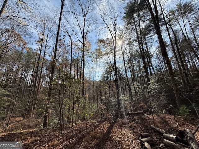 650 Mulberry Trail Property Photo 20