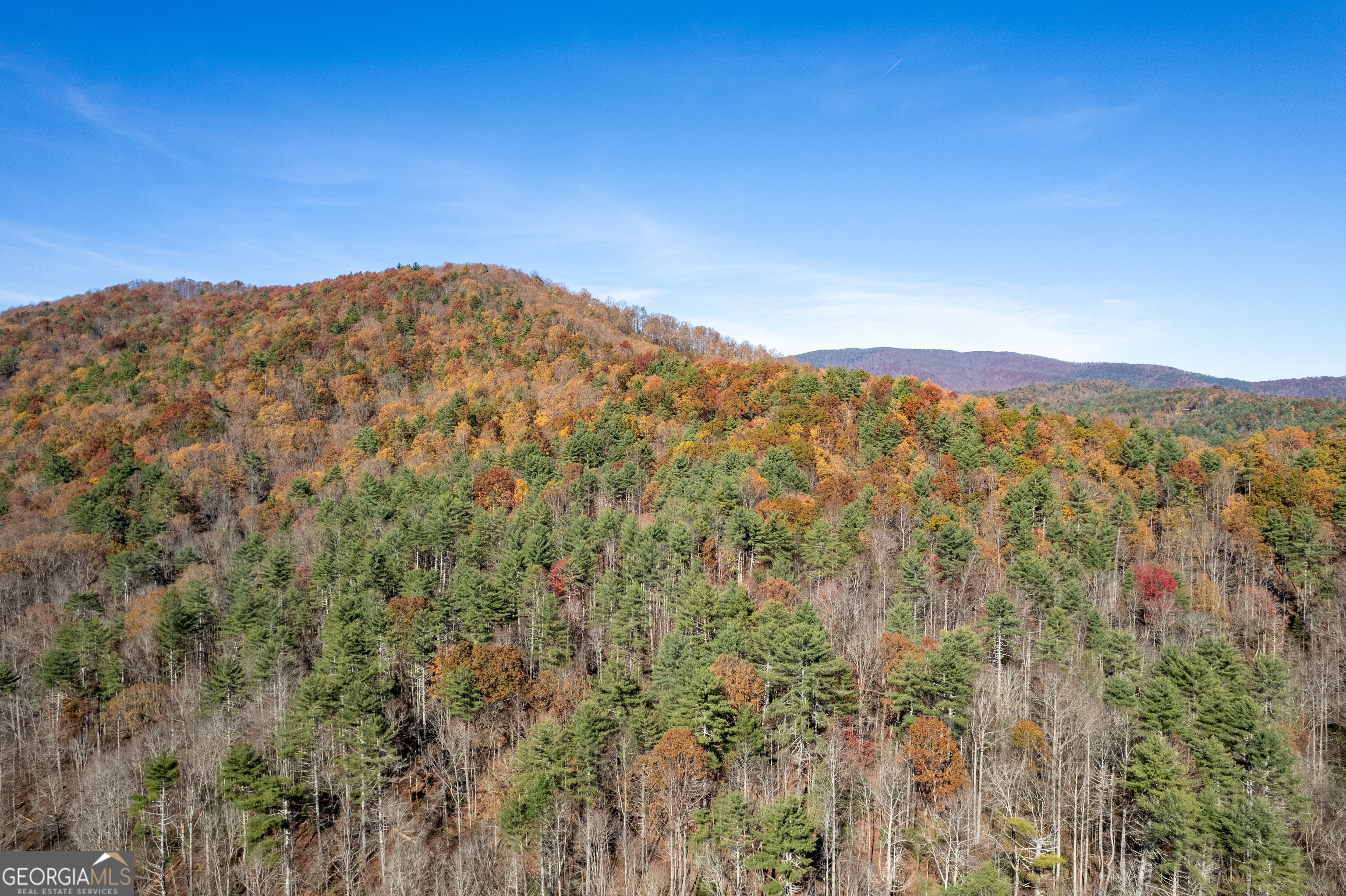 650 Mulberry Trail Property Photo 47
