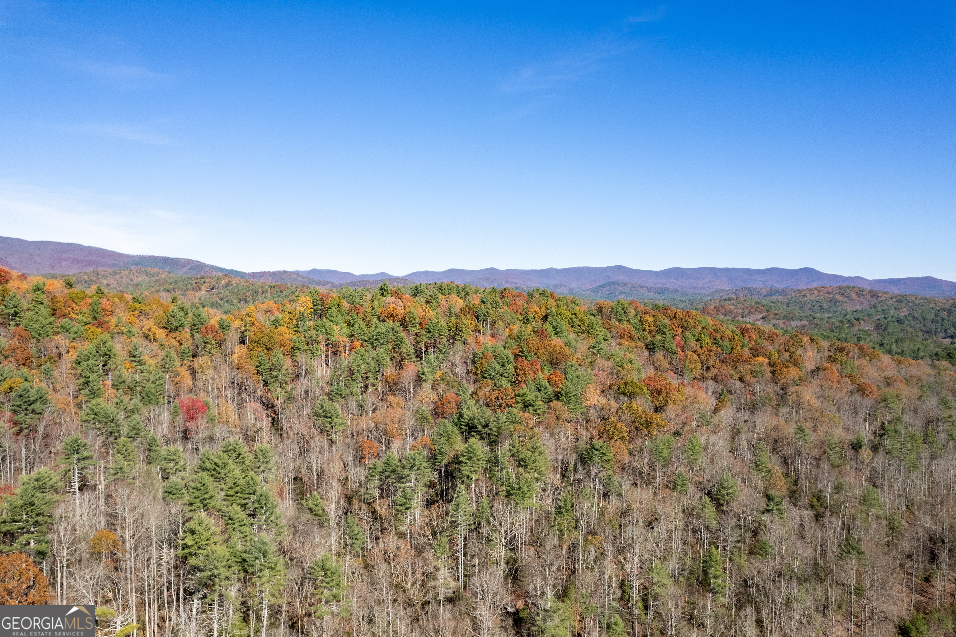 650 Mulberry Trail Property Photo 48