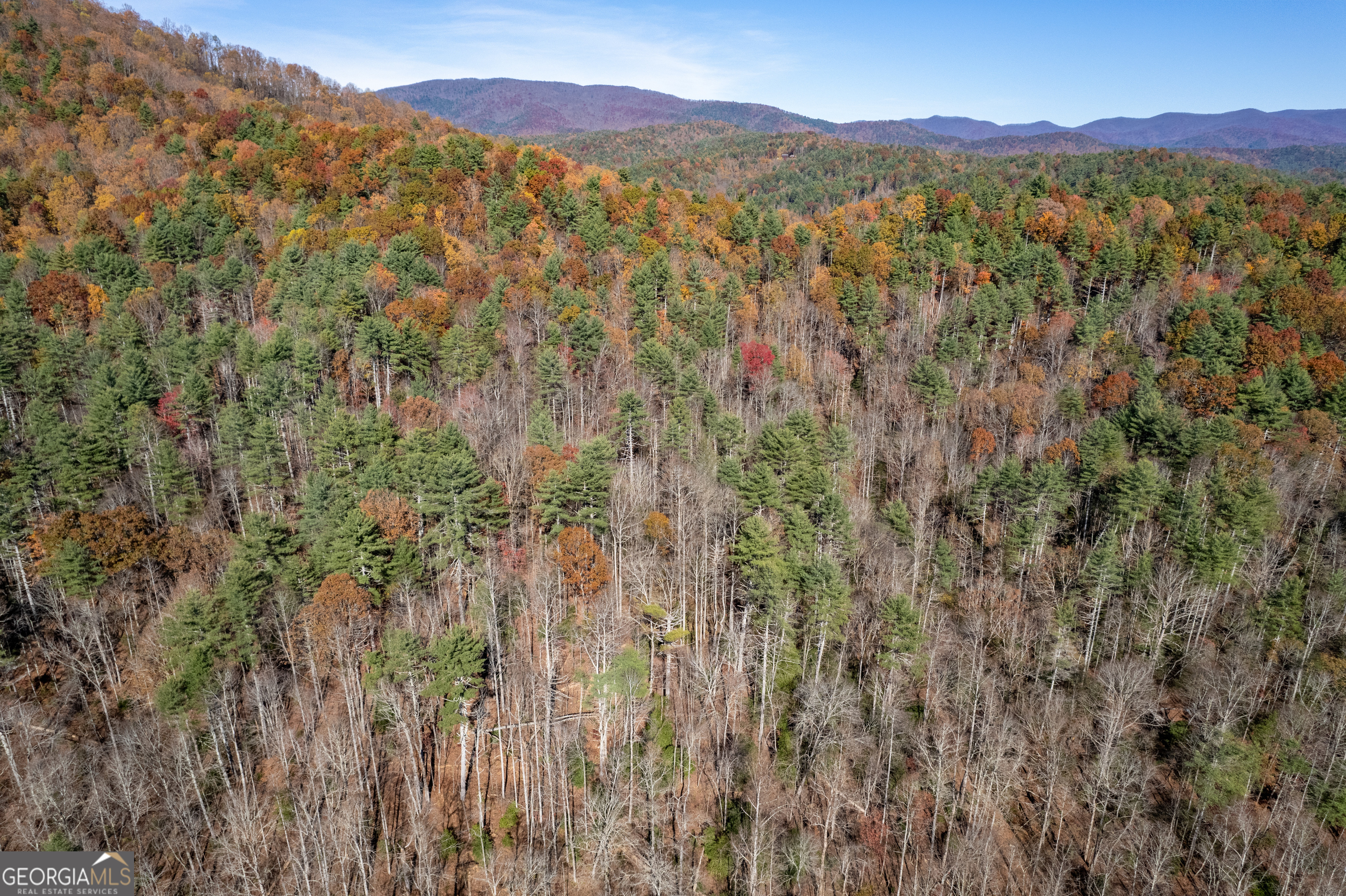 650 Mulberry Trail Property Photo 49