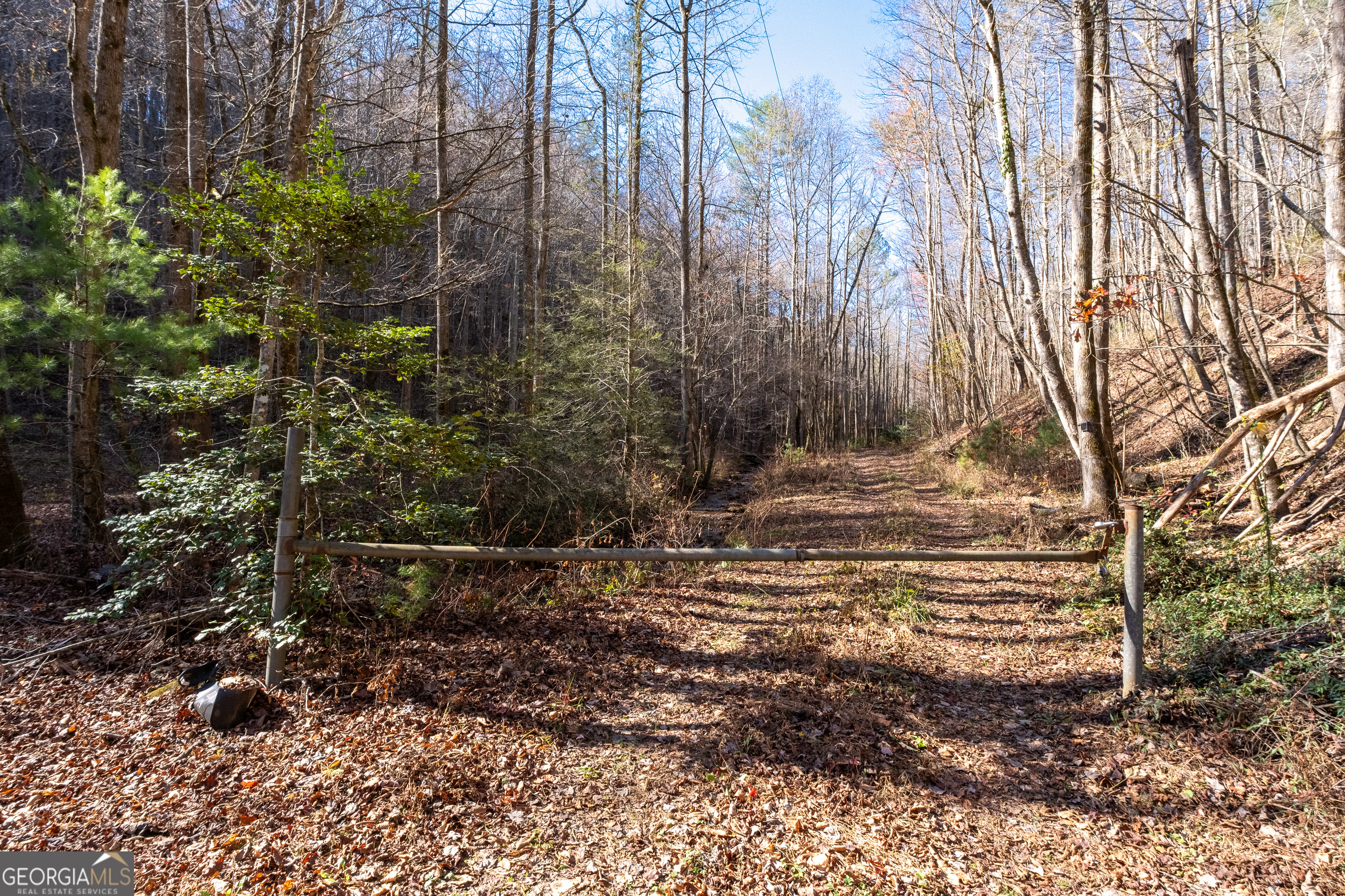 650 Mulberry Trail Property Photo 64