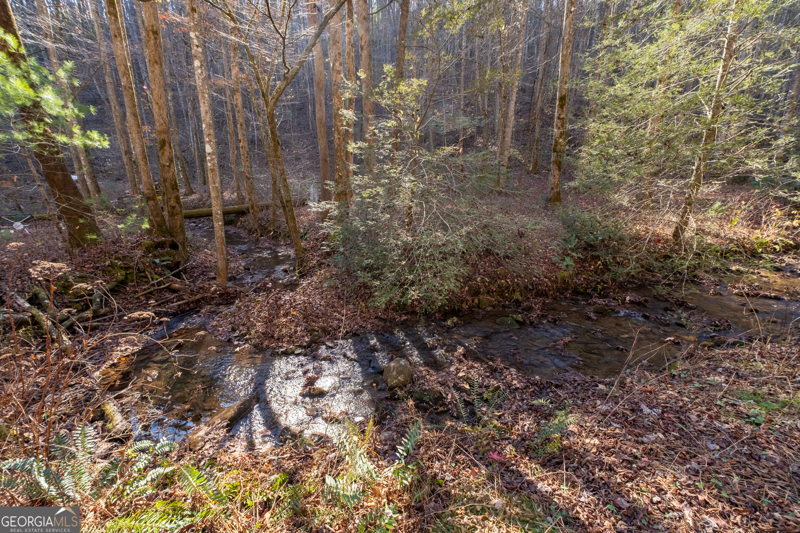 650 Mulberry Trail Property Photo 65