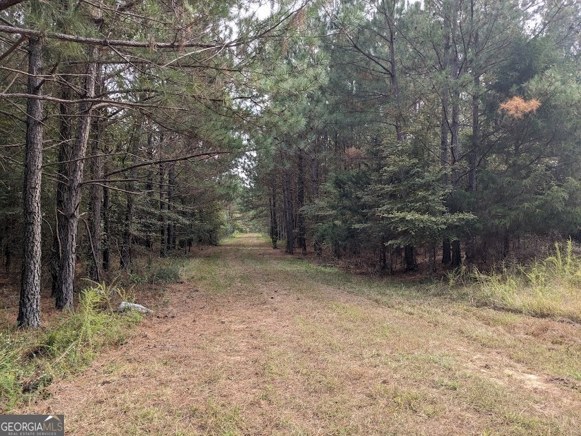 306 Bethesda Church Road Property Photo 2