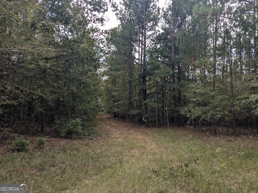 306 Bethesda Church Road Property Photo 3
