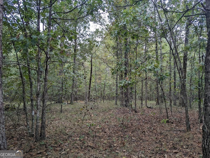 306 Bethesda Church Road Property Photo 5