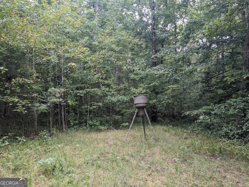 306 Bethesda Church Road Property Photo 7