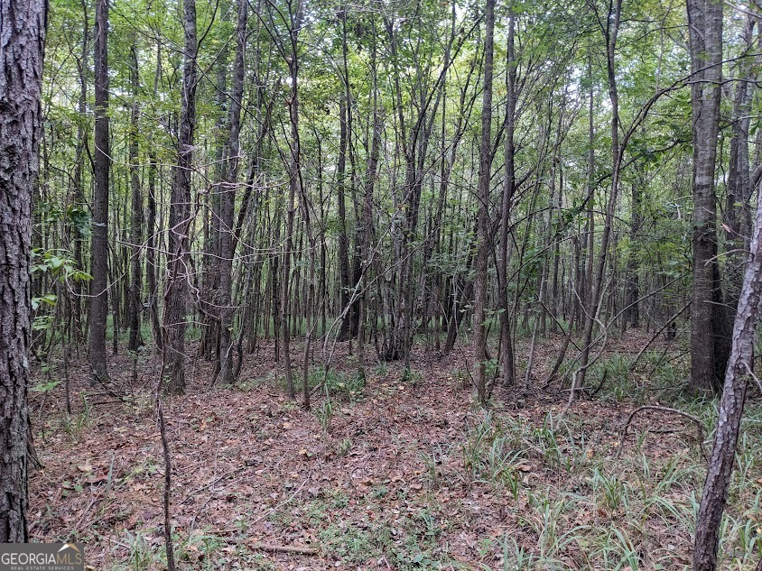 306 Bethesda Church Road Property Photo 9