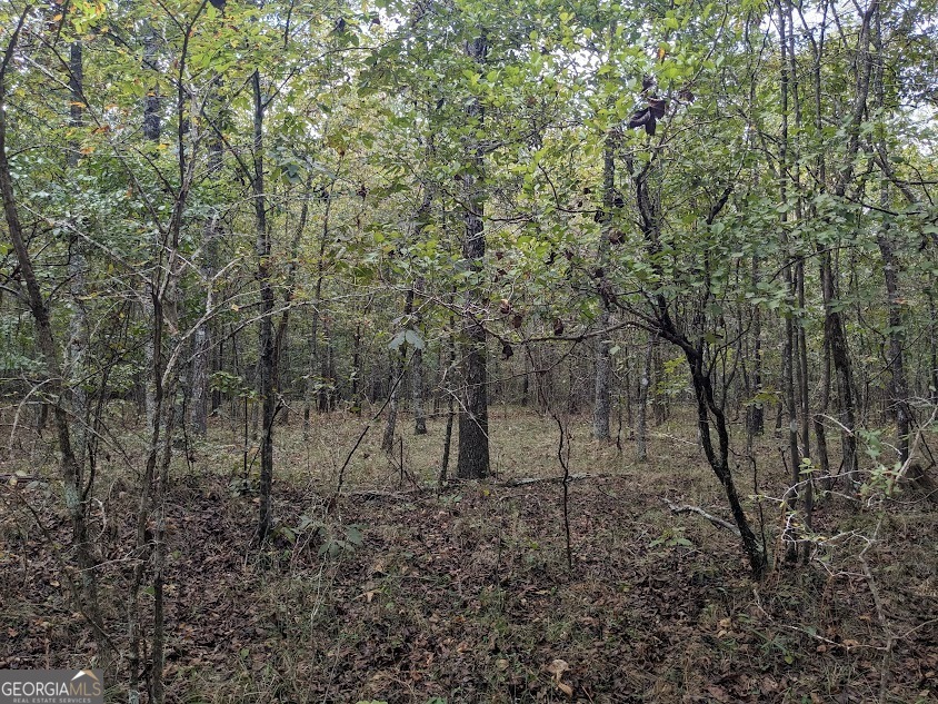 306 Bethesda Church Road Property Photo 10