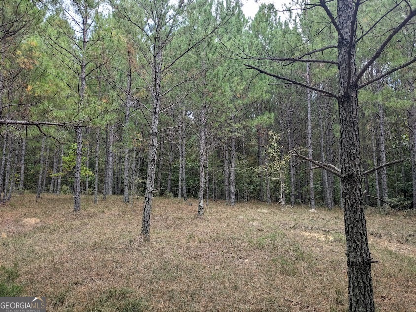 306 Bethesda Church Road Property Photo 11