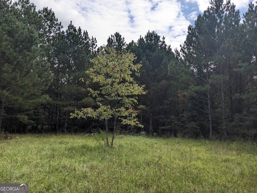 306 Bethesda Church Road Property Photo 12