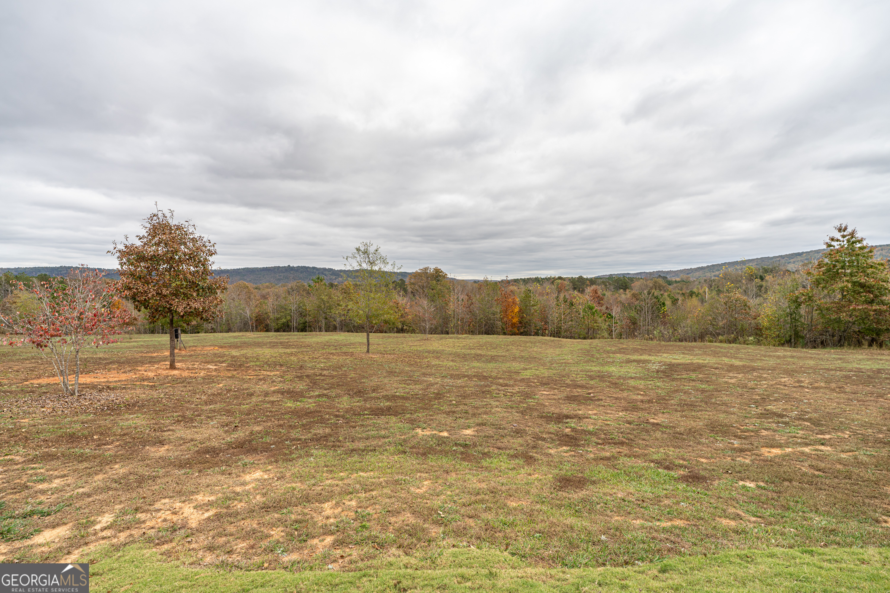 1299 Ben Mosley Circle Property Photo 46