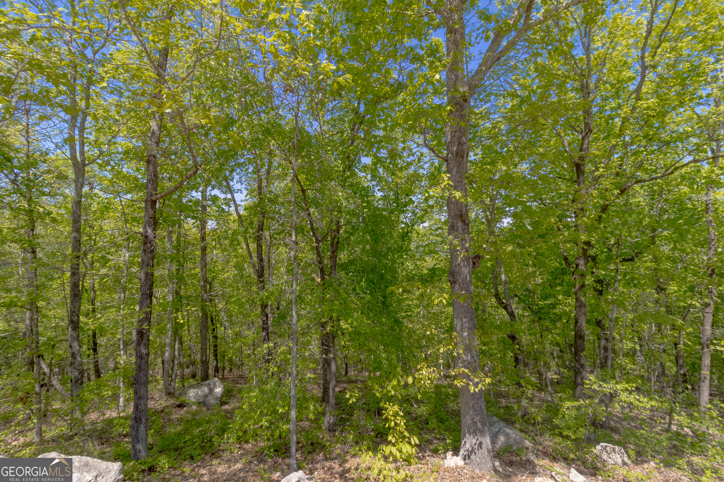 739 Barnes Mill Road Property Photo 75