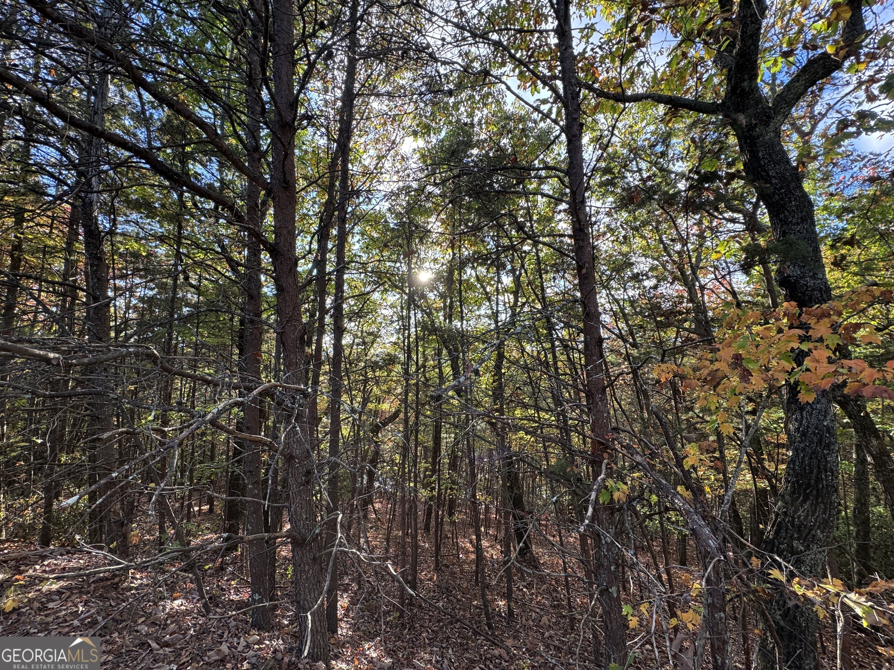 0 Highlands Drive Lot 24 Property Photo 8