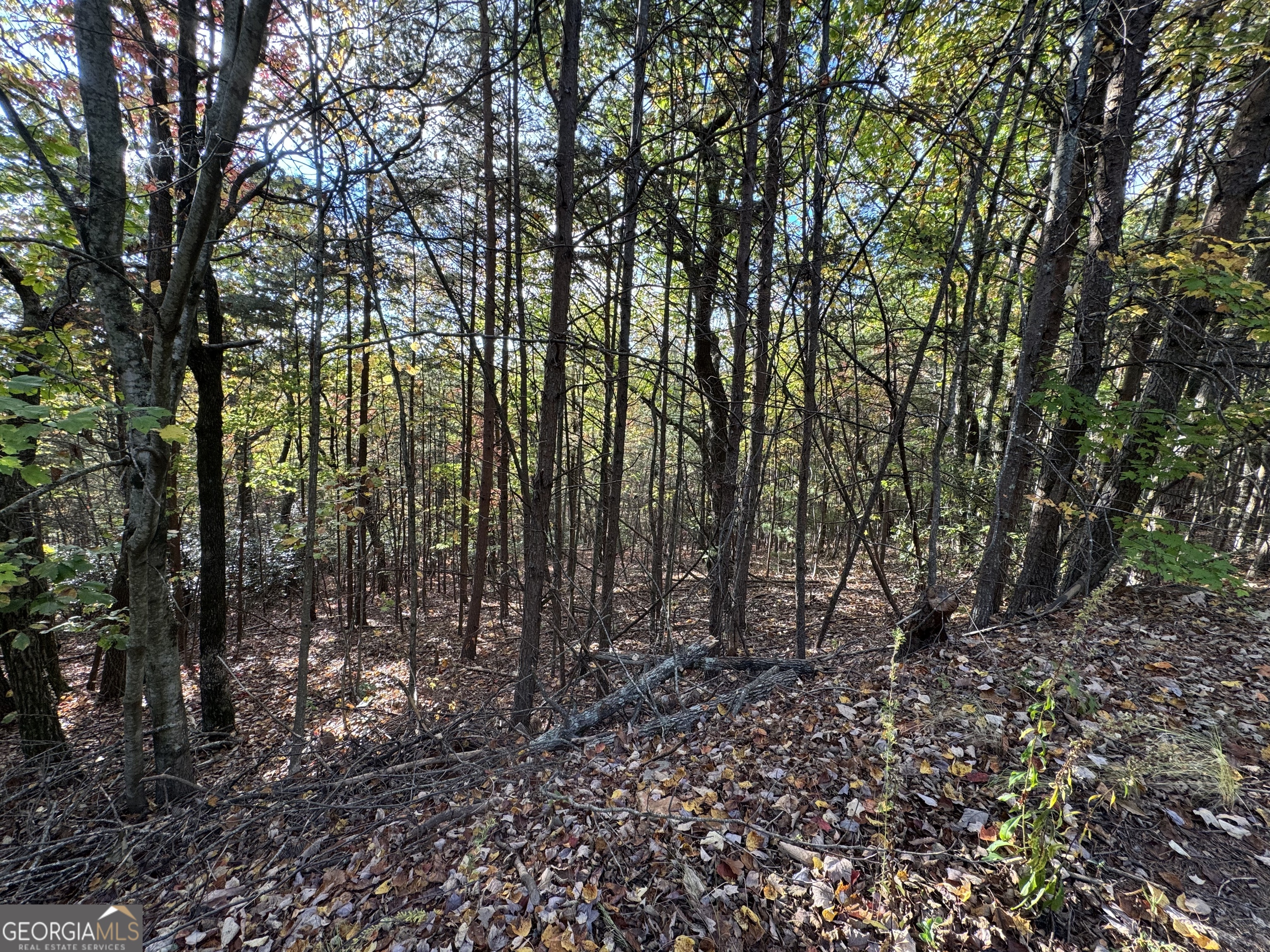 0 Highlands Drive Lot 24 Property Photo 10