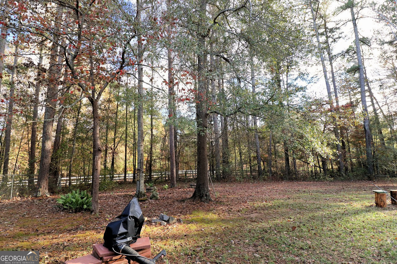 1045 Bakers Bridge Road Property Photo 48