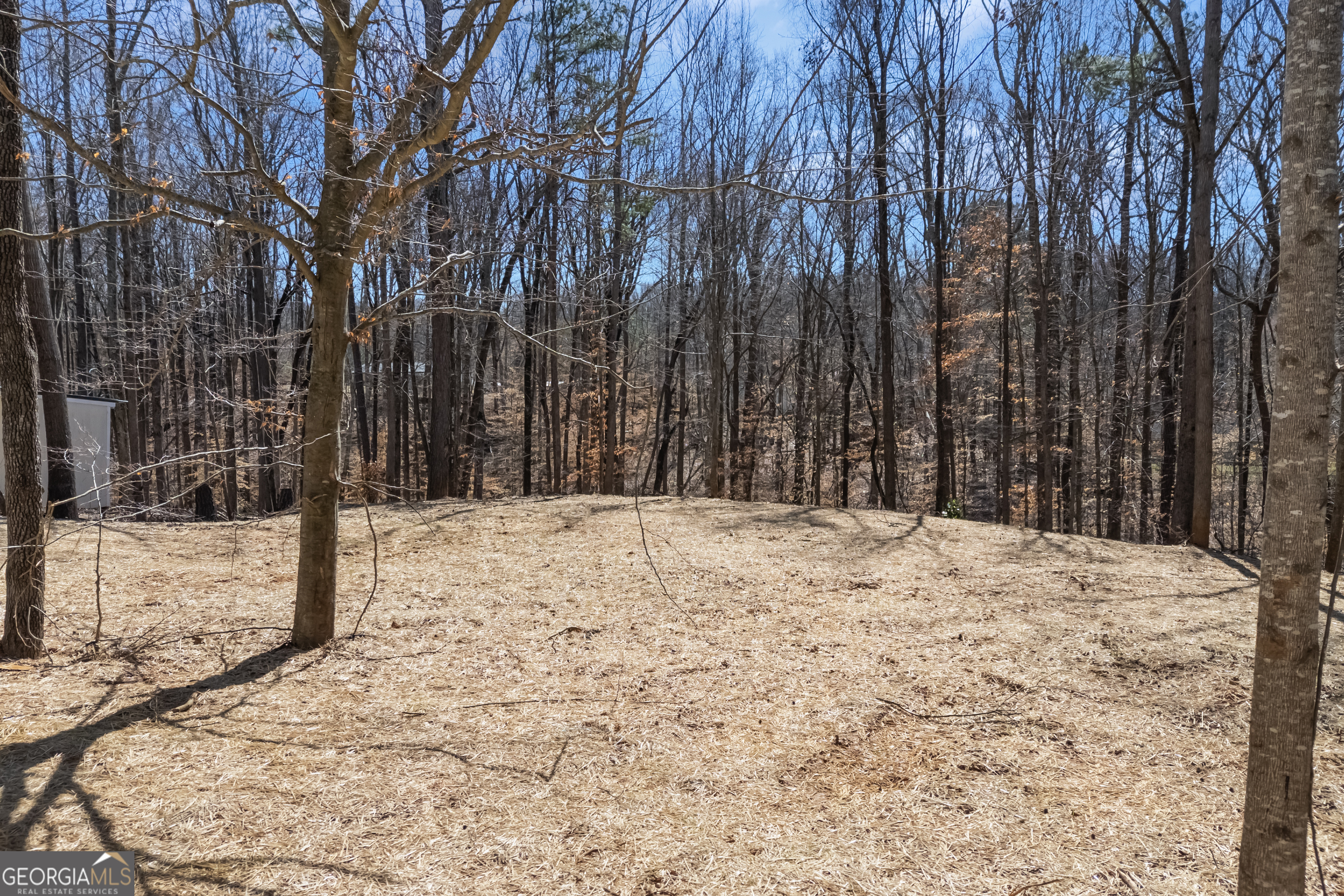 81 Pine Ridge Place Property Photo 41