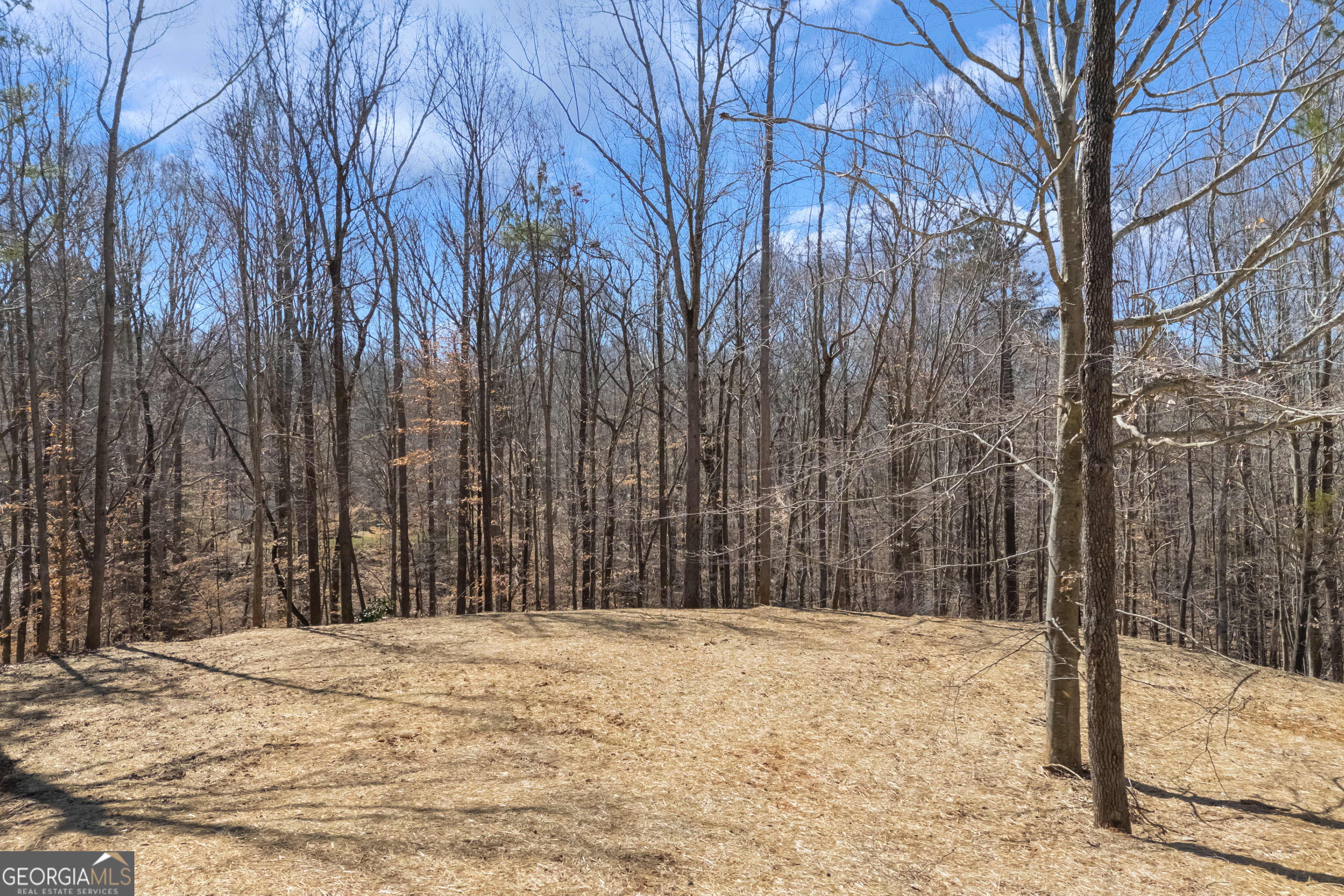 81 Pine Ridge Place Property Photo 42