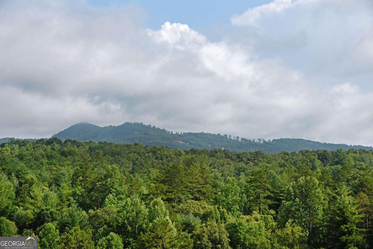 49 Hawks View Property Photo 25