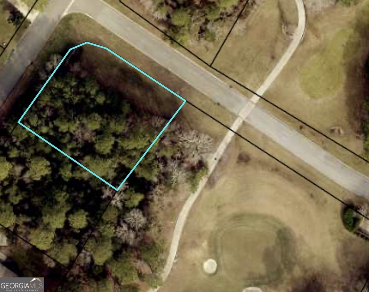 163 Osprey Drive Property Photo