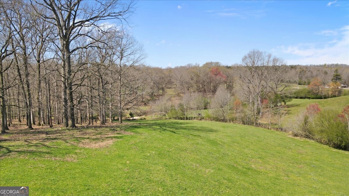 2775 Yonah Homer Road Property Photo 29