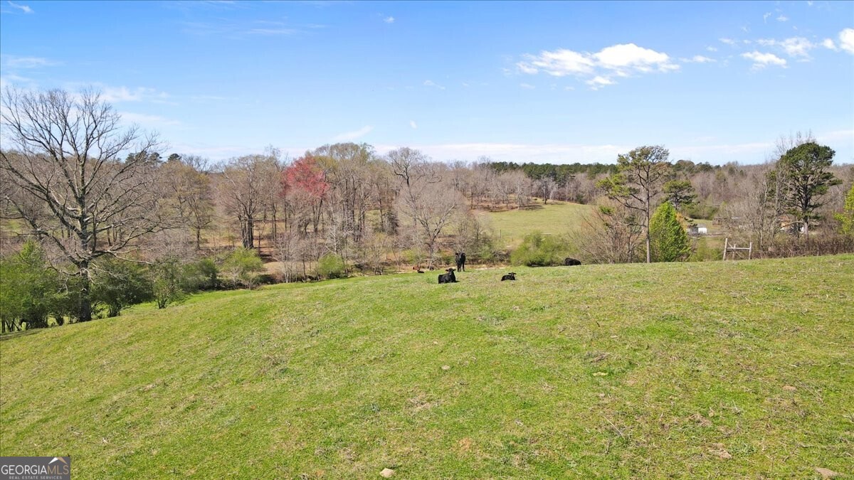 2775 Yonah Homer Road Property Photo 30