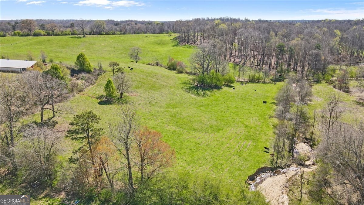 2775 Yonah Homer Road Property Photo 31