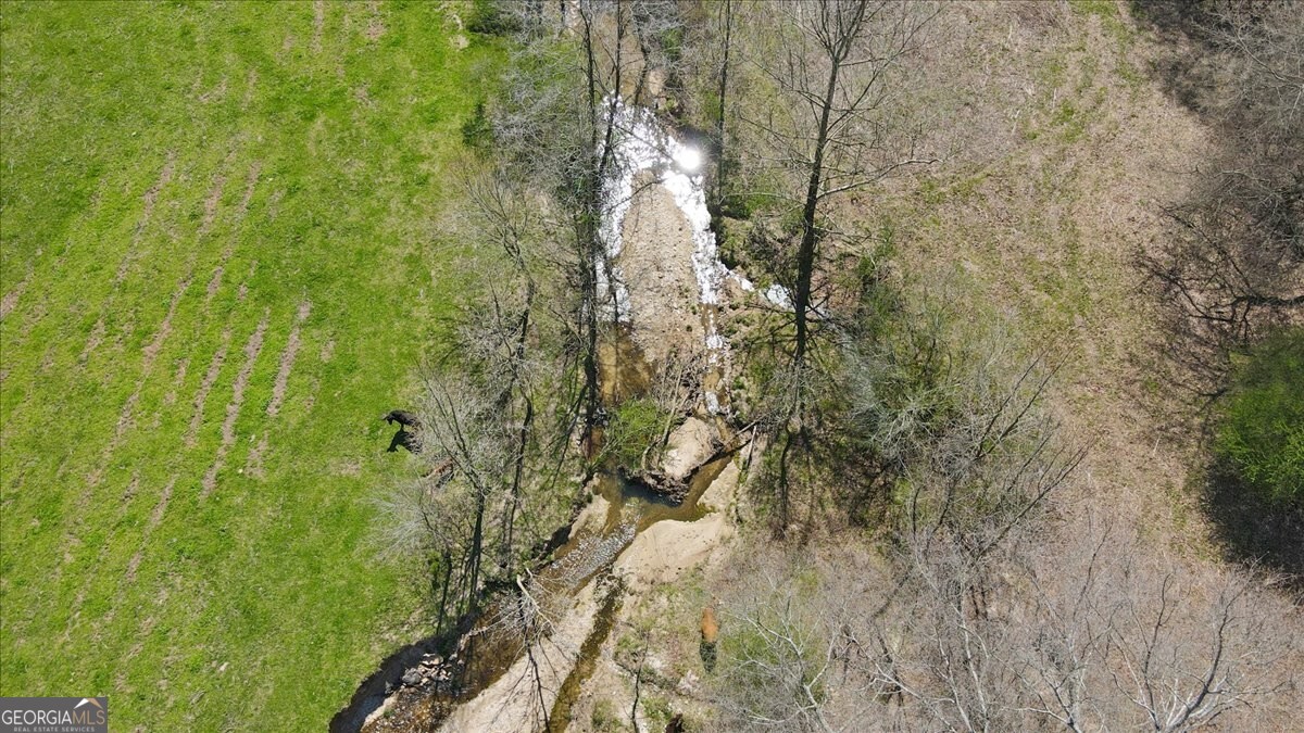 2775 Yonah Homer Road Property Photo 32