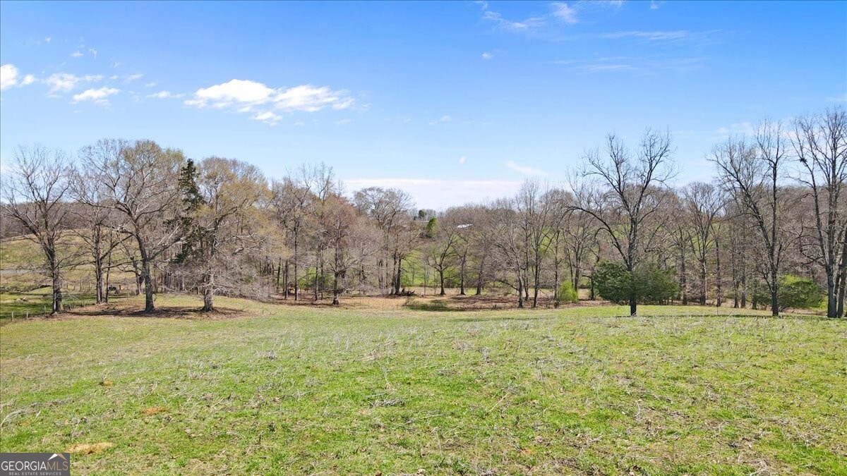 2775 Yonah Homer Road Property Photo 33
