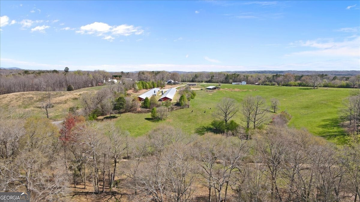 2775 Yonah Homer Road Property Photo 34