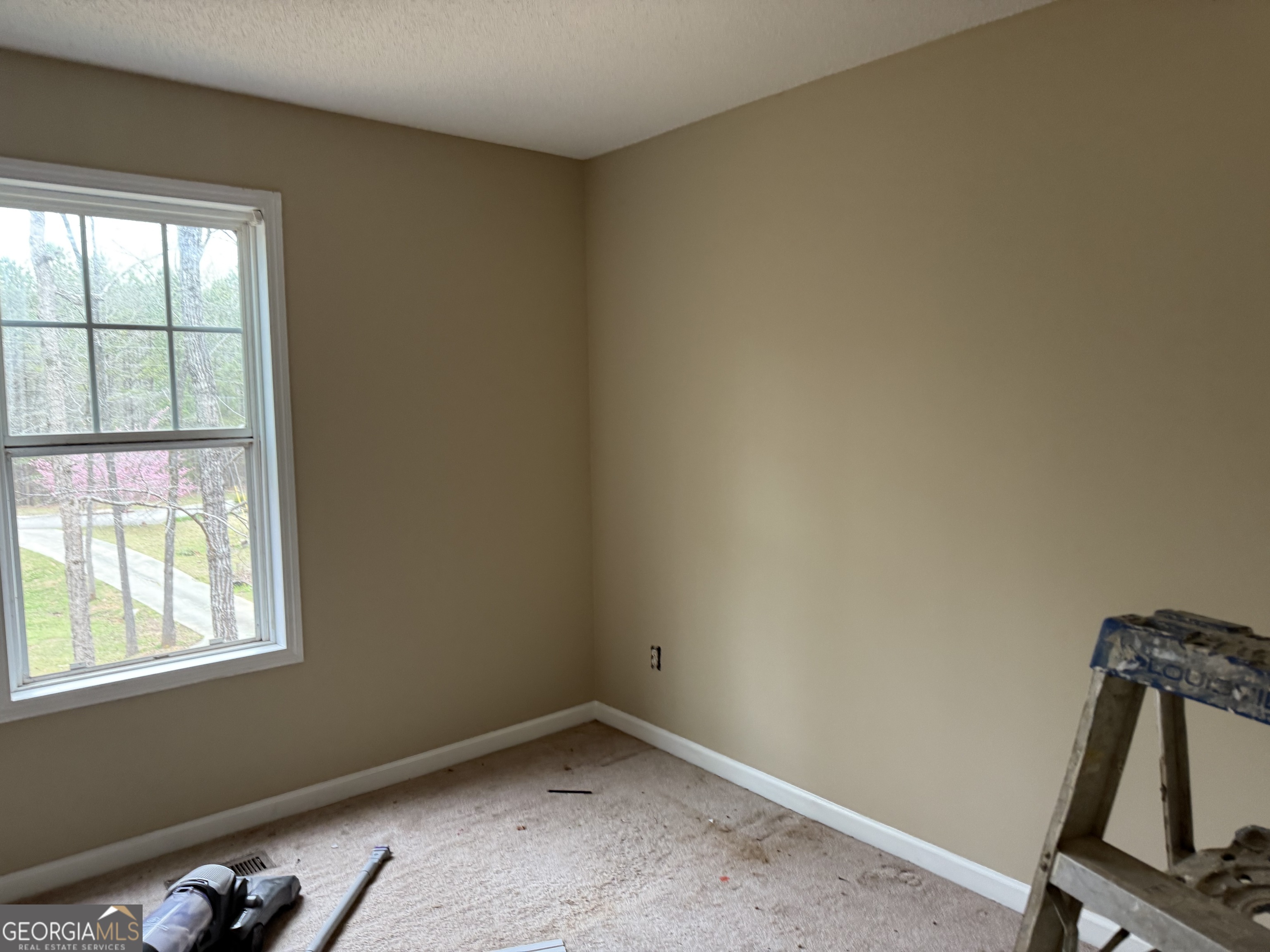 261 Salley Duke Drive Property Photo 6