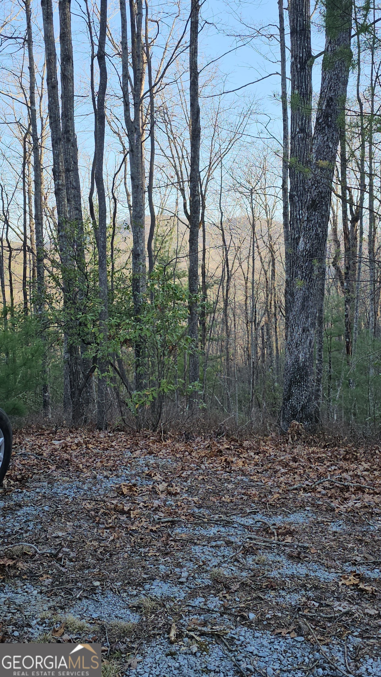 0 Eagle Eye Trail # 89 Property Photo 1