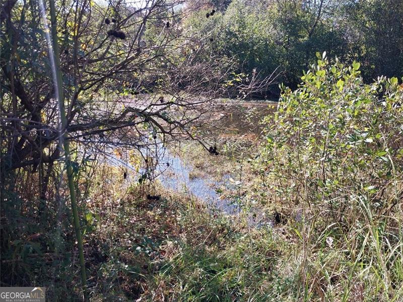 3791 River Lake Property Photo 18