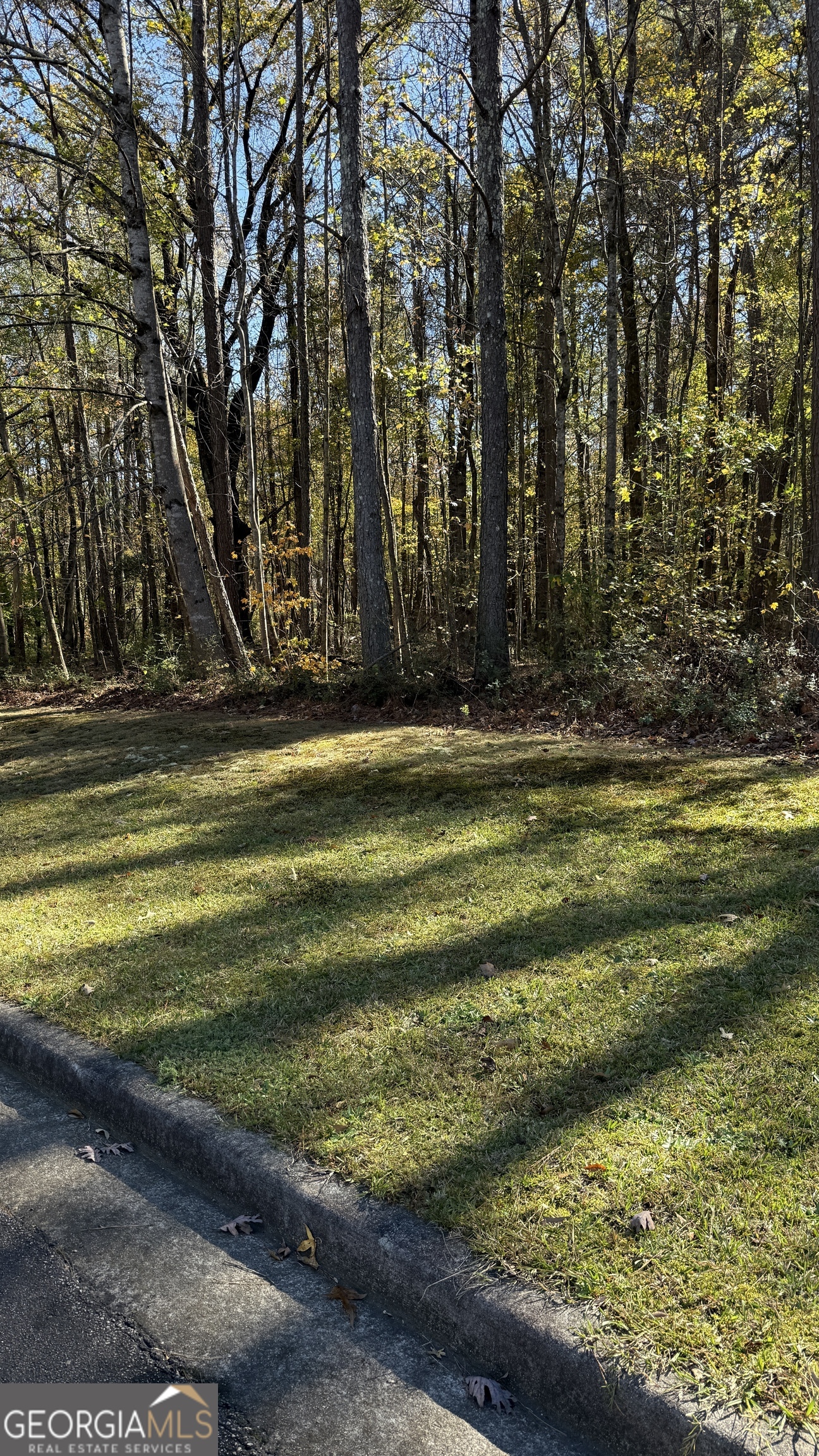 Lot 15 Of Fairview Springs Drive E Property Photo 2