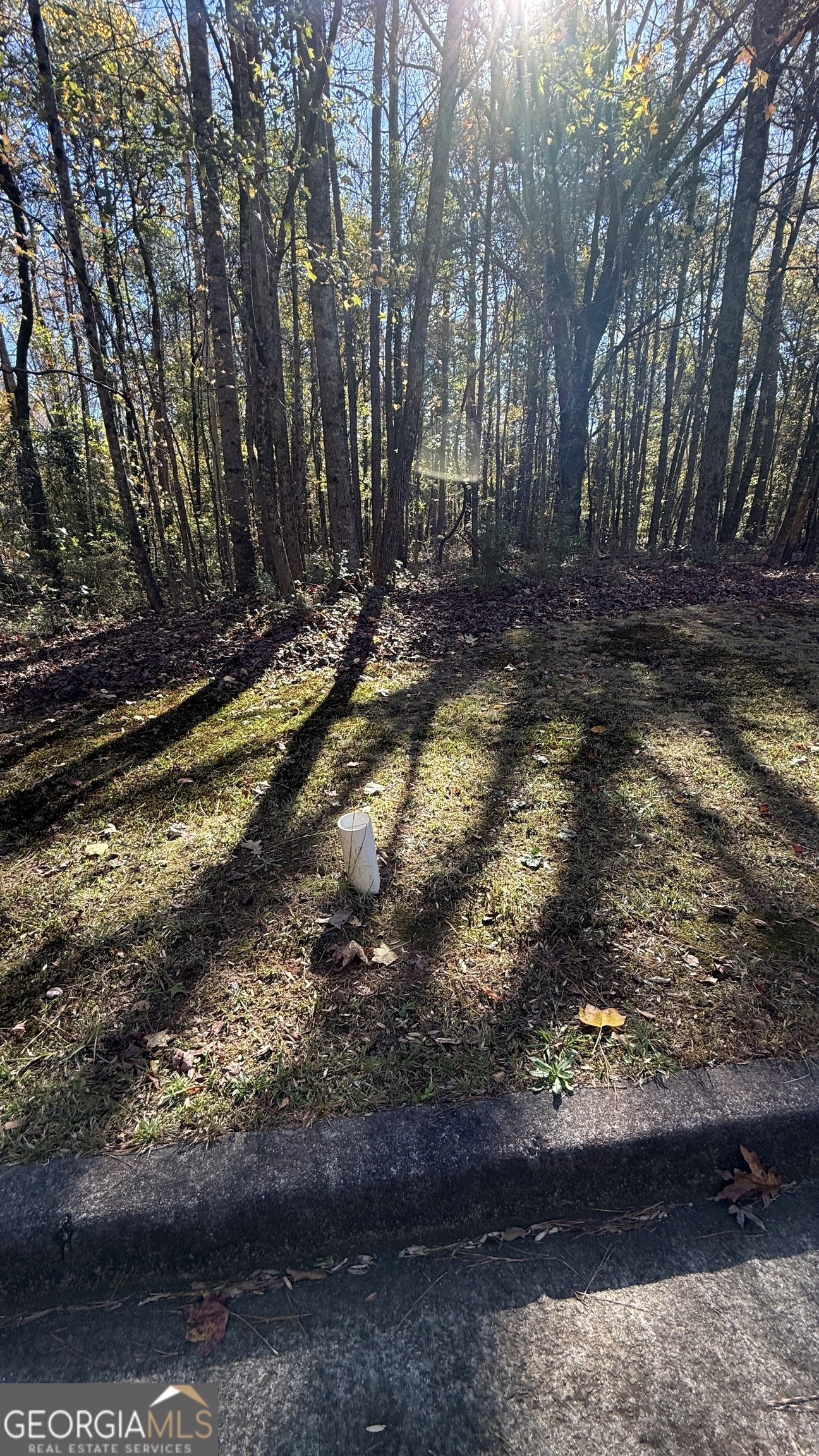 Lot 15 Of Fairview Springs Drive E Property Photo 3