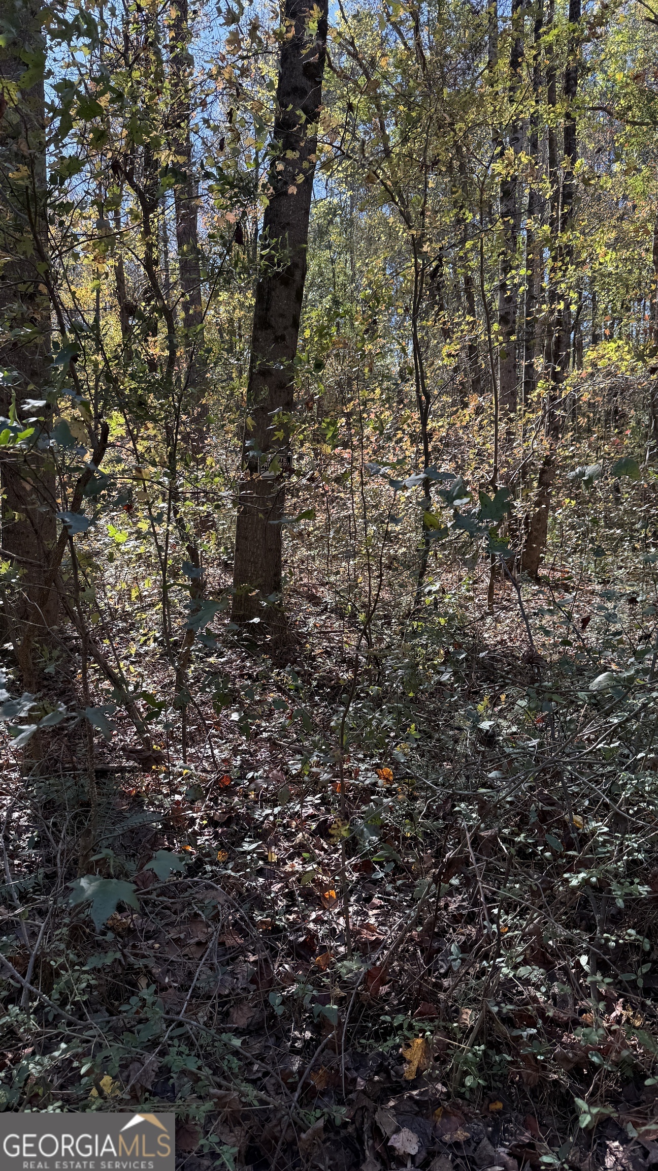 Lot 15 Of Fairview Springs Drive E Property Photo 4
