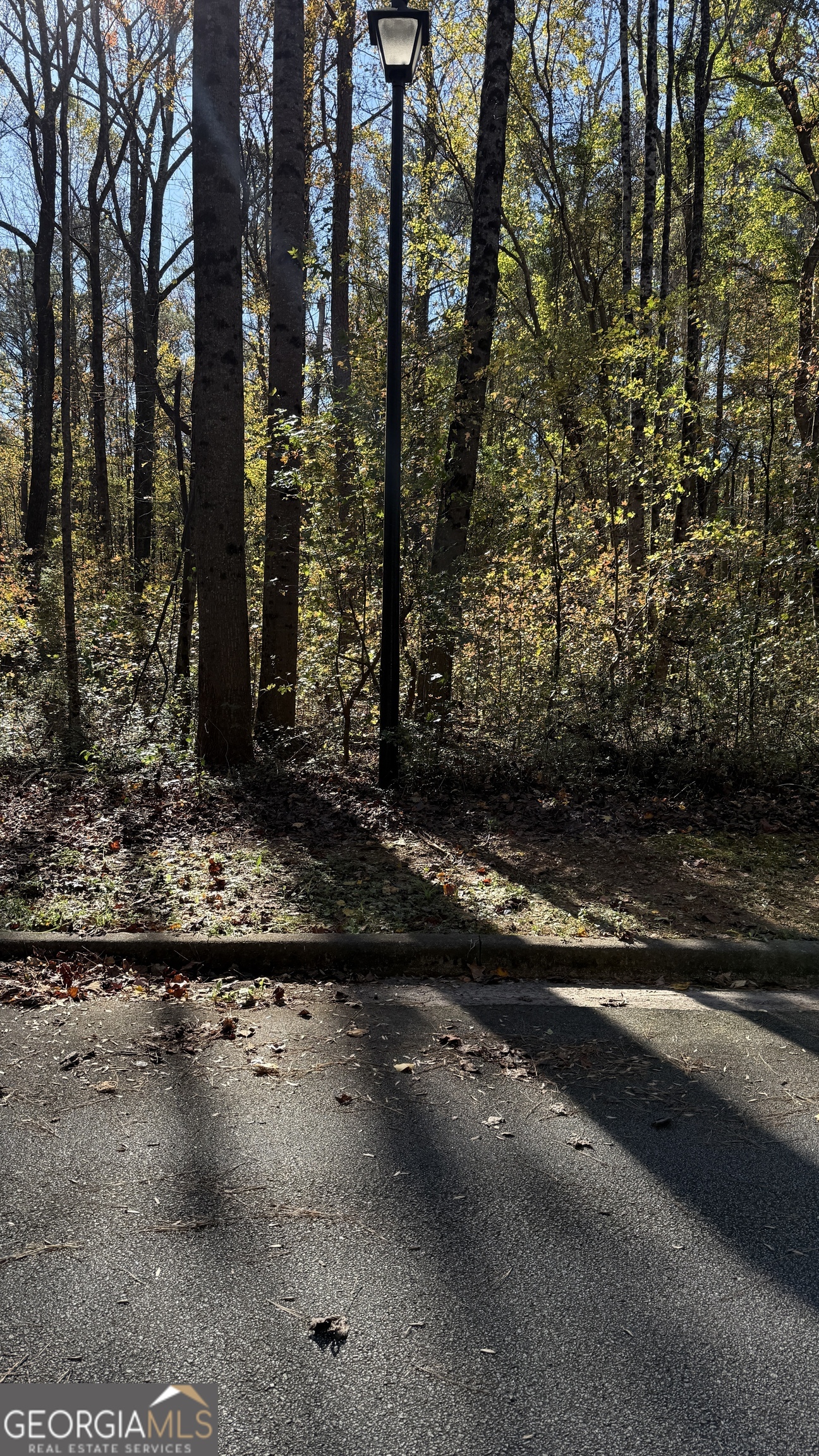 Lot 15 Of Fairview Springs Drive E Property Photo 6