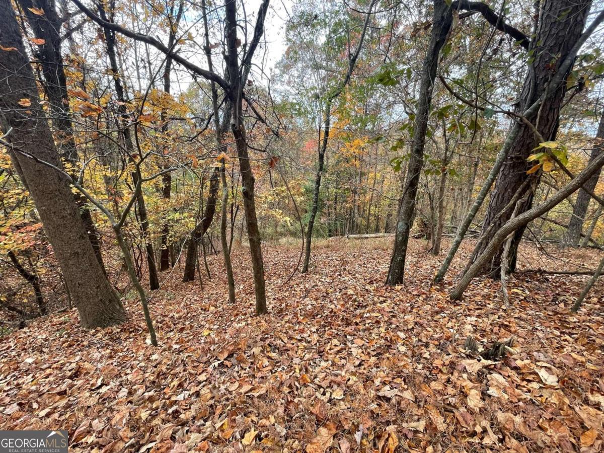 Lot 468 Cherokee Court Property Photo 1