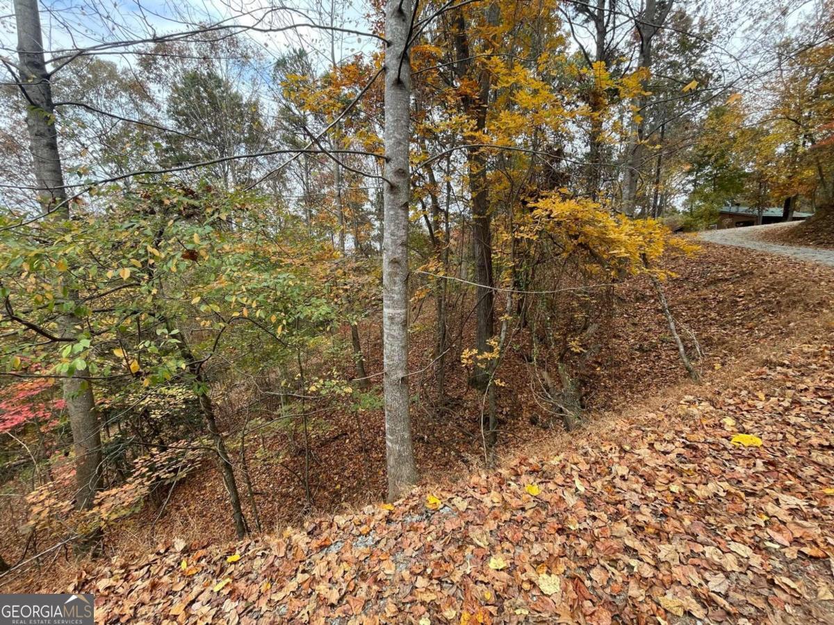 Lot 468 Cherokee Court Property Photo 2