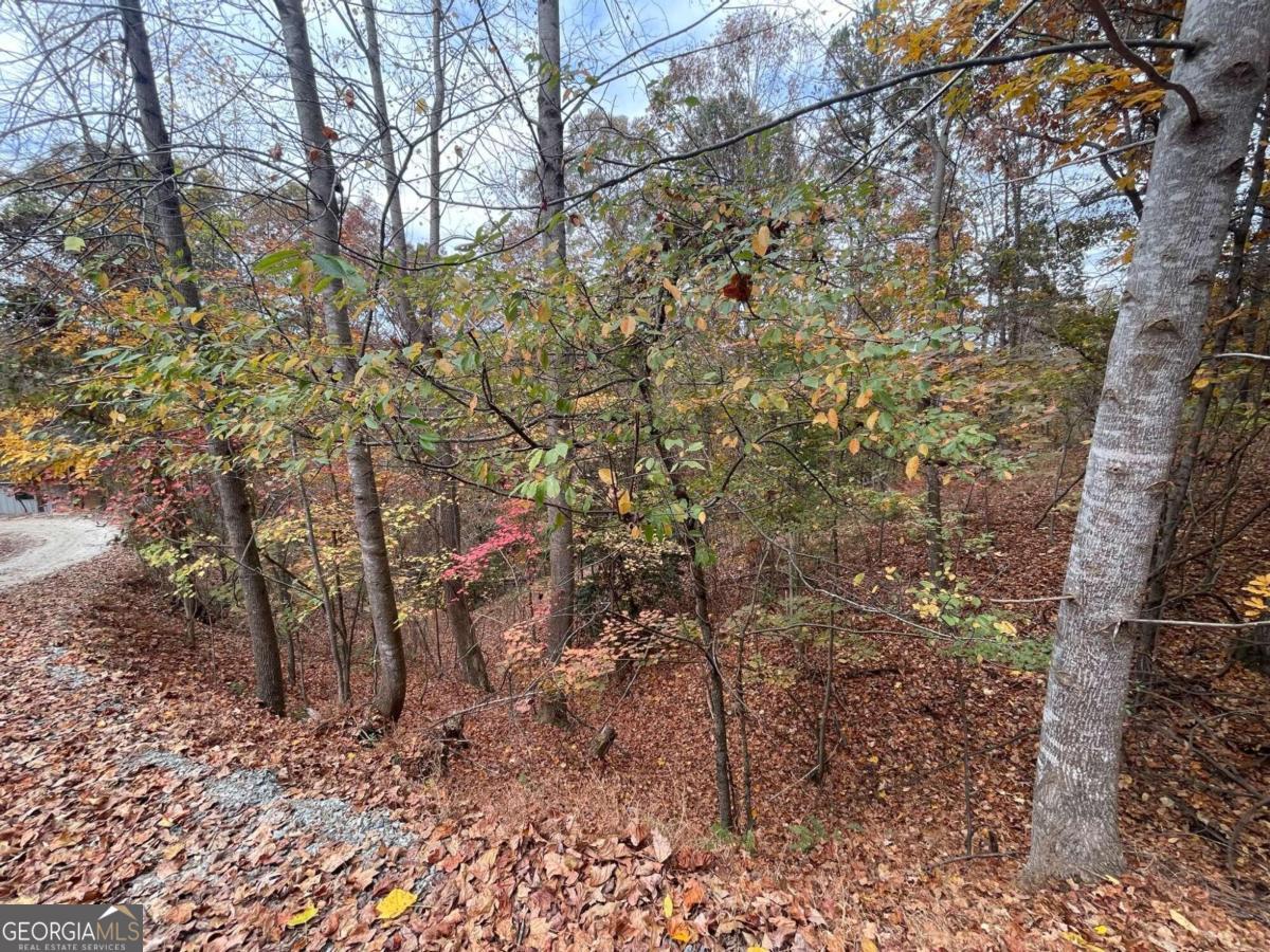 Lot 468 Cherokee Court Property Photo 3